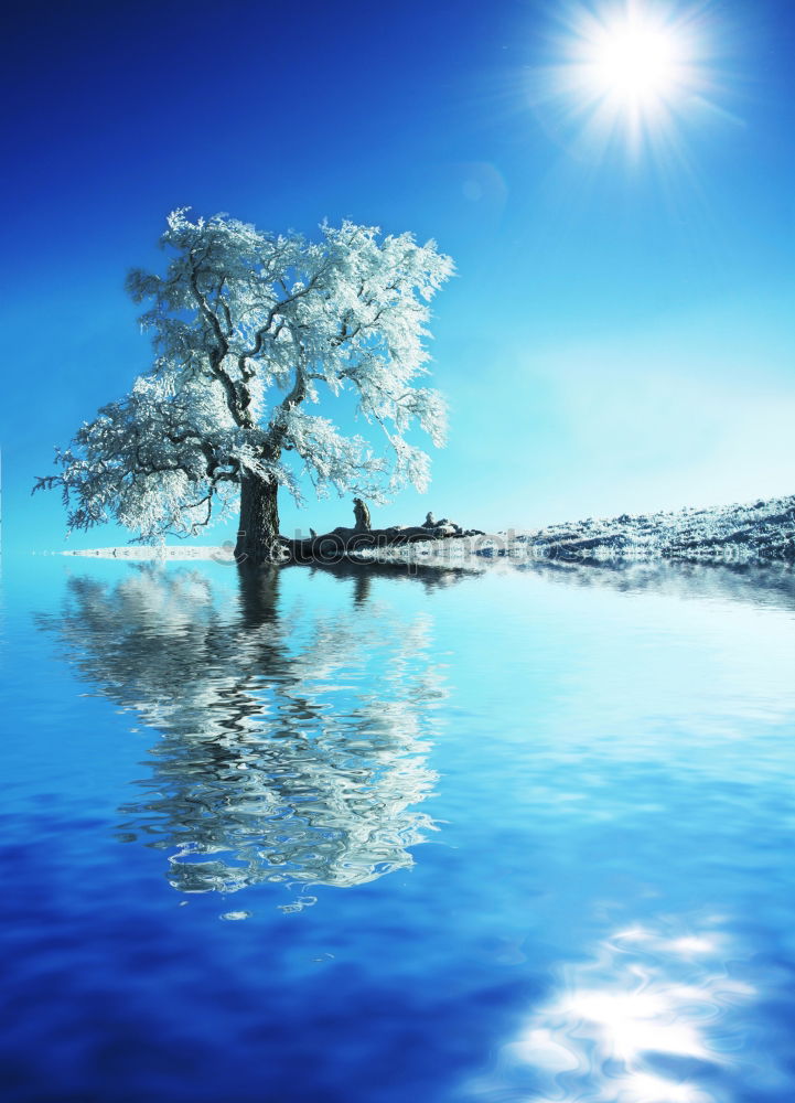 Similar – Image, Stock Photo Lonely tree on Lake Geneva