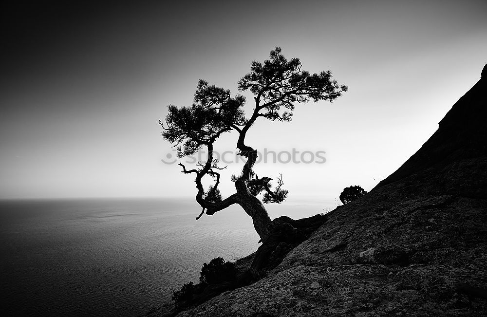 Similar – Image, Stock Photo Ocean View Human being