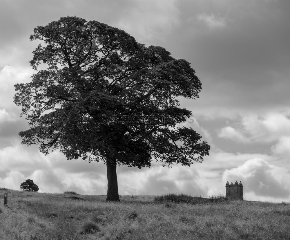 Similar – Rock of Cashell in Ireland