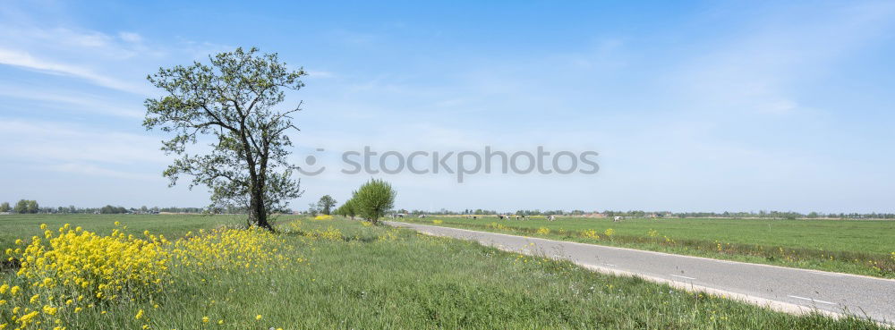 Similar – Field with trees near Rostock