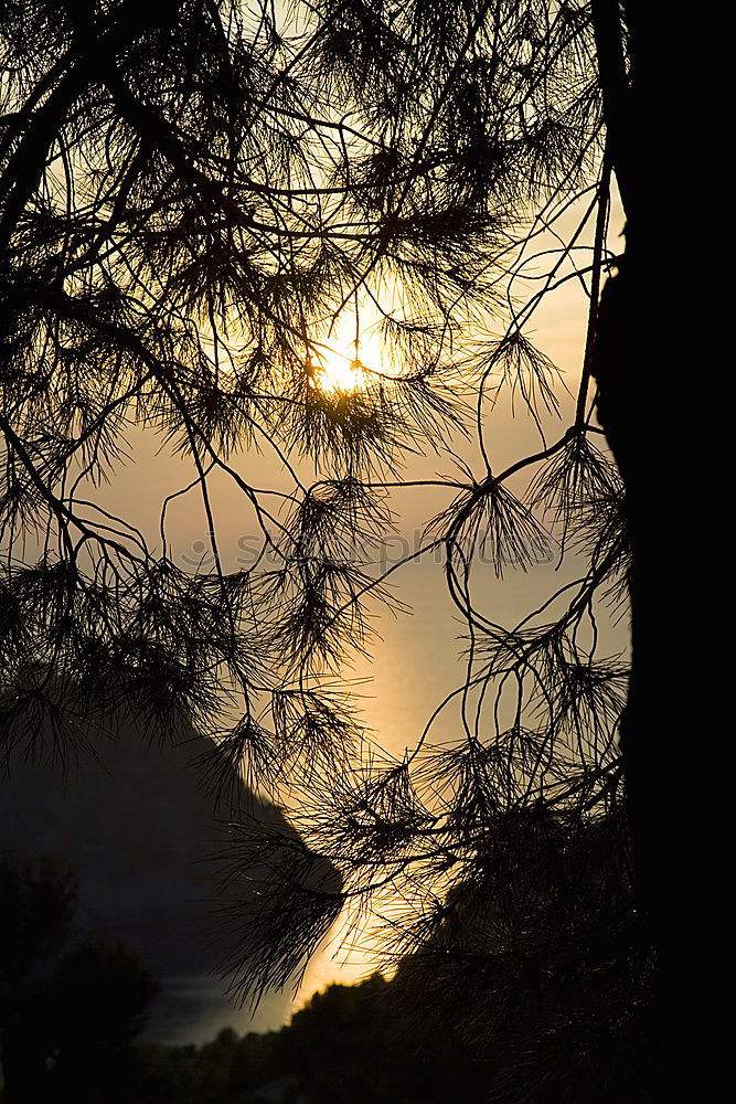 Similar – Image, Stock Photo Sunset in Heeg #3 Clouds