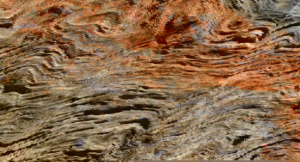 Similar – Foto Bild Uluru Natur Stein