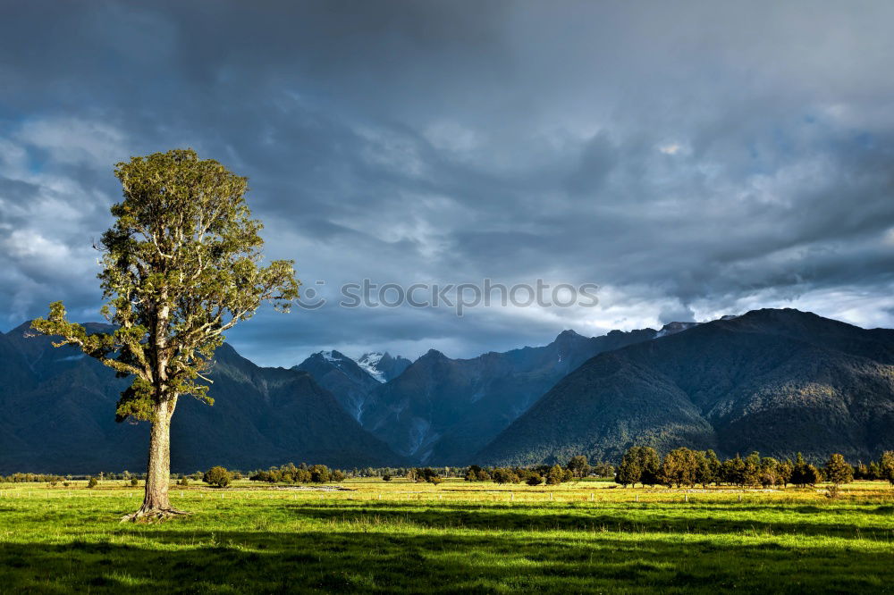 Similar – Ahornbaum Berge u. Gebirge