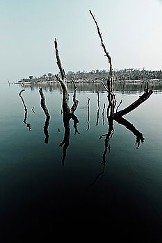 Similar – Quanfu Bridge China