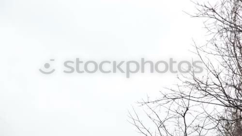 Similar – Image, Stock Photo HH08.1