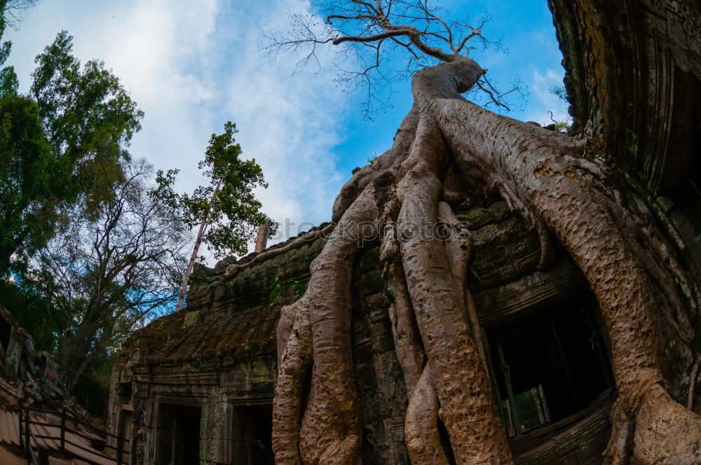 Similar – Image, Stock Photo Wat Pha Lat Monastery