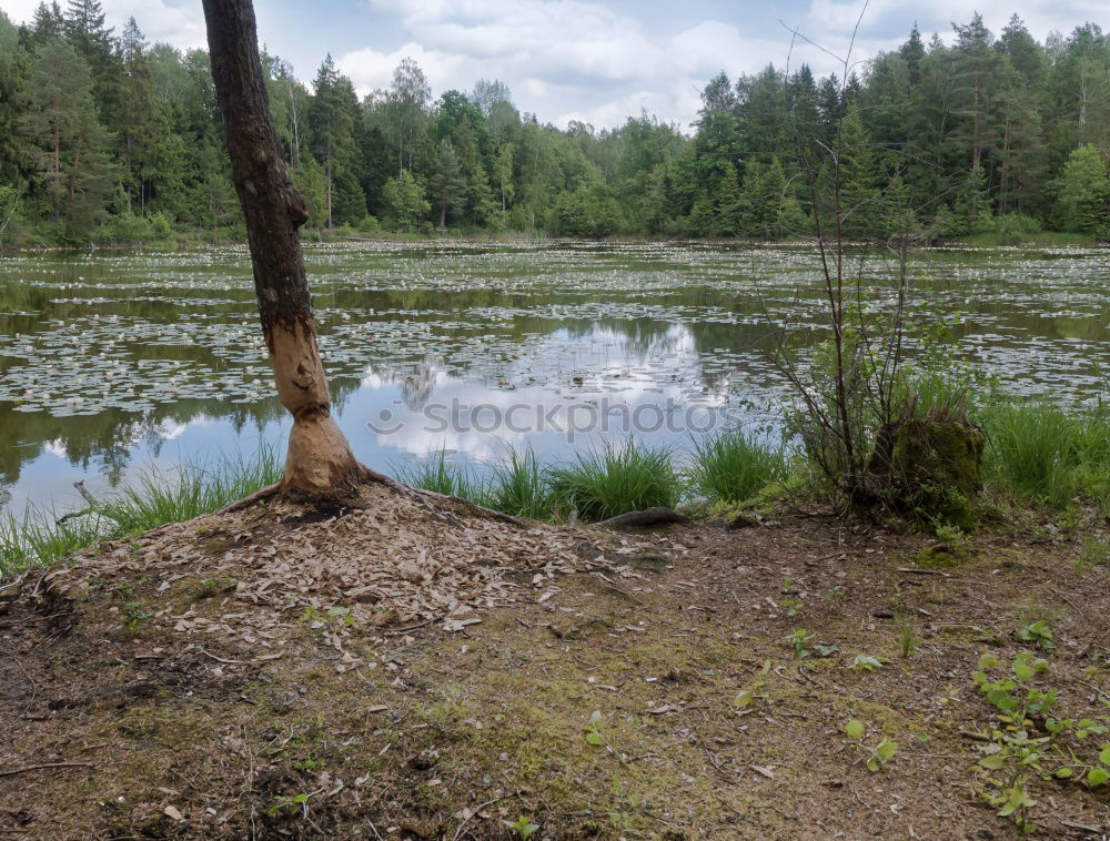 Similar – Foto Bild verlassener Picknick Platz