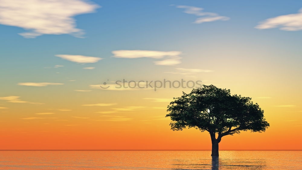 Similar – Image, Stock Photo Tourists walk along the beach