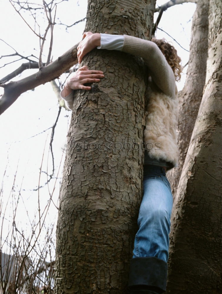 Similar – in the hanging garden Tree