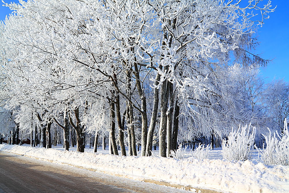 Similar – Hoarfrost in the right-hand bend