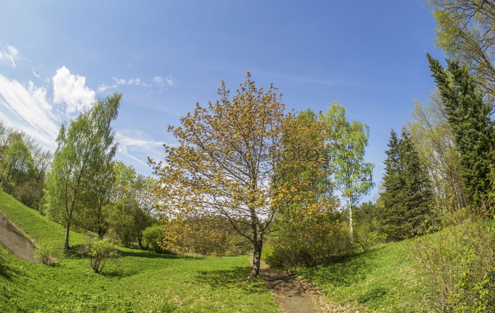 Similar – Image, Stock Photo Golf GC Salzburg Sports