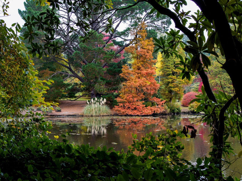 Similar – Foto Bild Herbstlicher Park Natur