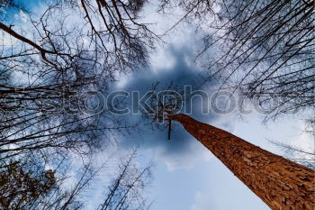 Similar – Image, Stock Photo Wind power at Roßkopf Sky