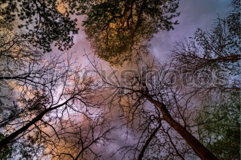 Image, Stock Photo Blown away Sky Autumn