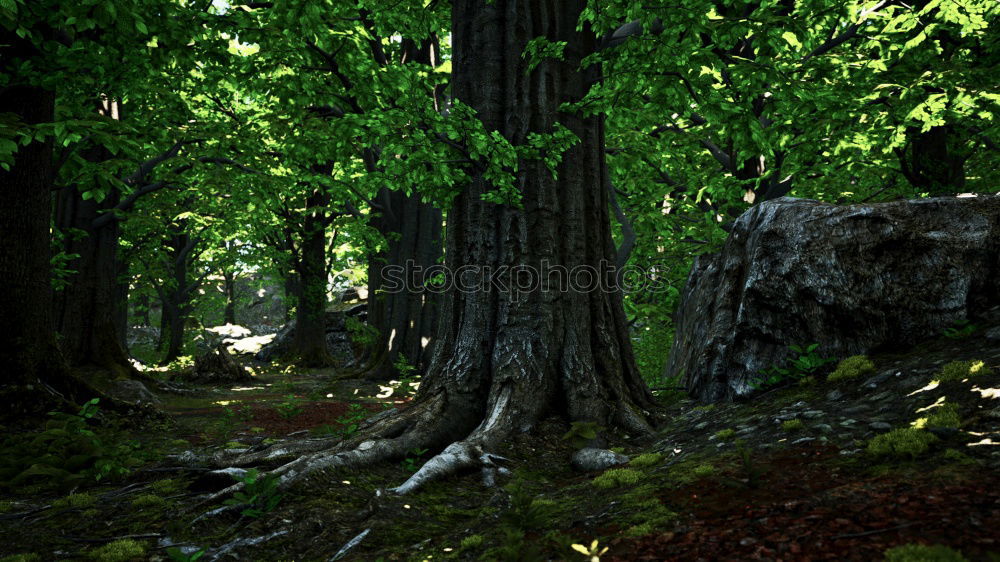 Similar – Image, Stock Photo Forest in spring