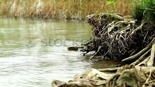 Similar – Water reflects beautifully