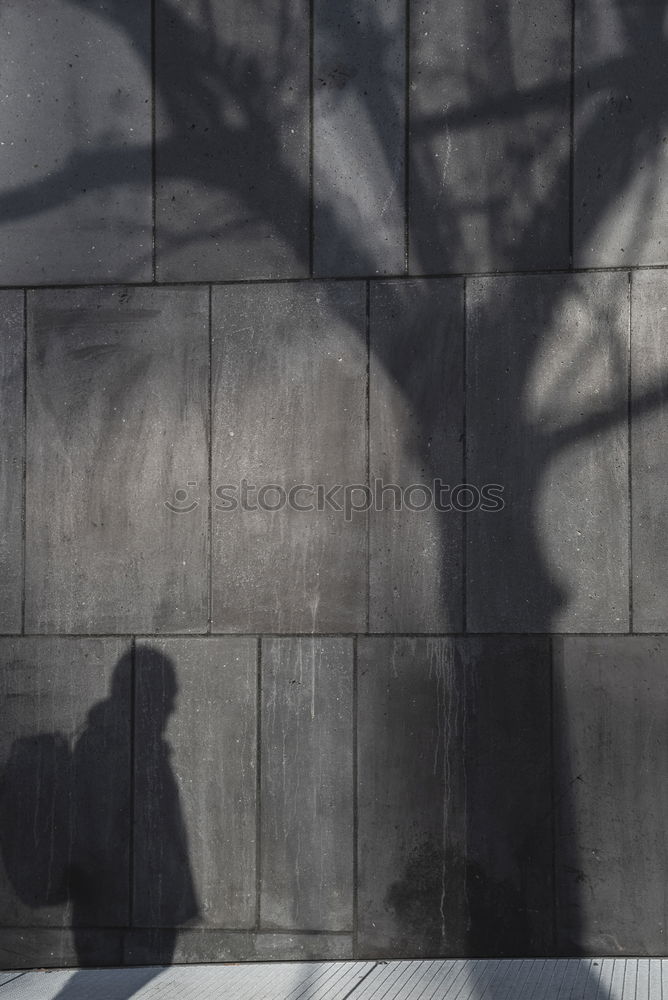 Similar – Image, Stock Photo The shadowy existence