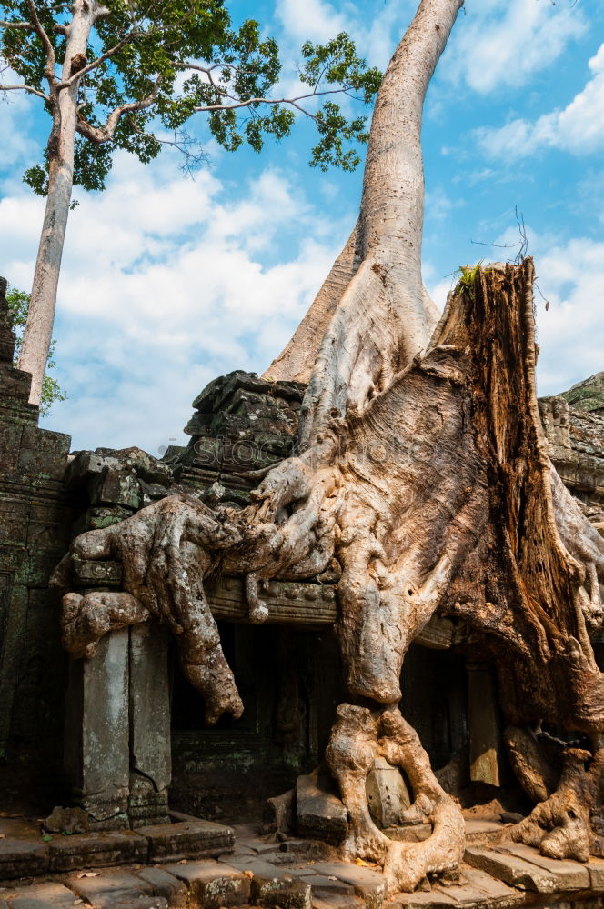 Similar – Image, Stock Photo Angkor Thom Temple view, Siem reap, Cambodia