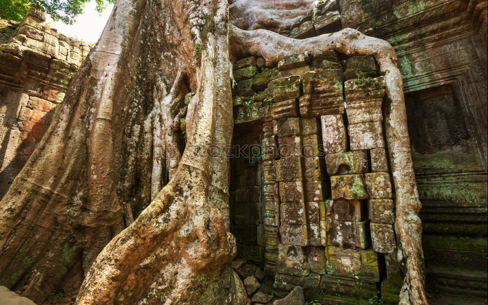 Similar – Image, Stock Photo Angkor Thom Temple view, Siem reap, Cambodia