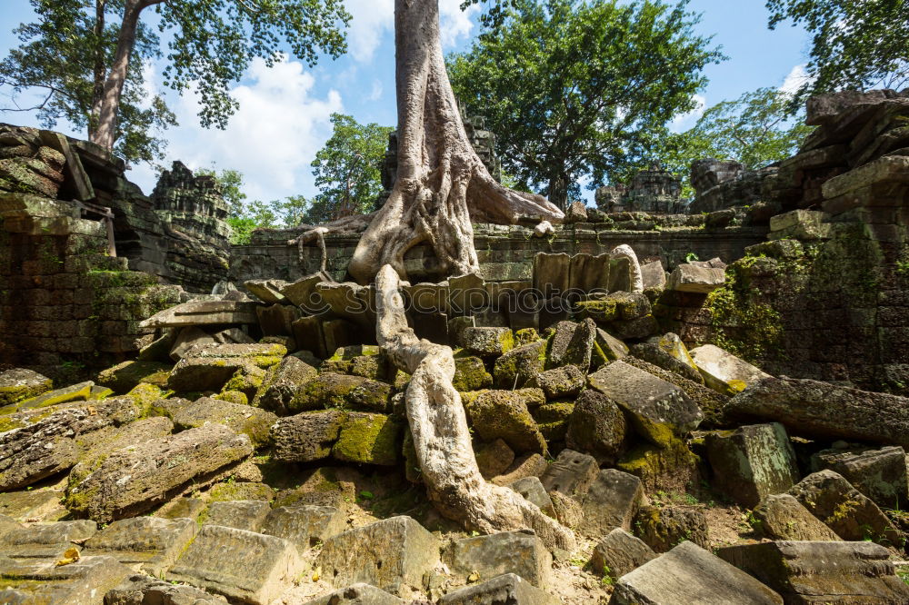 Similar – Image, Stock Photo Angkor Thom Temple view, Siem reap, Cambodia