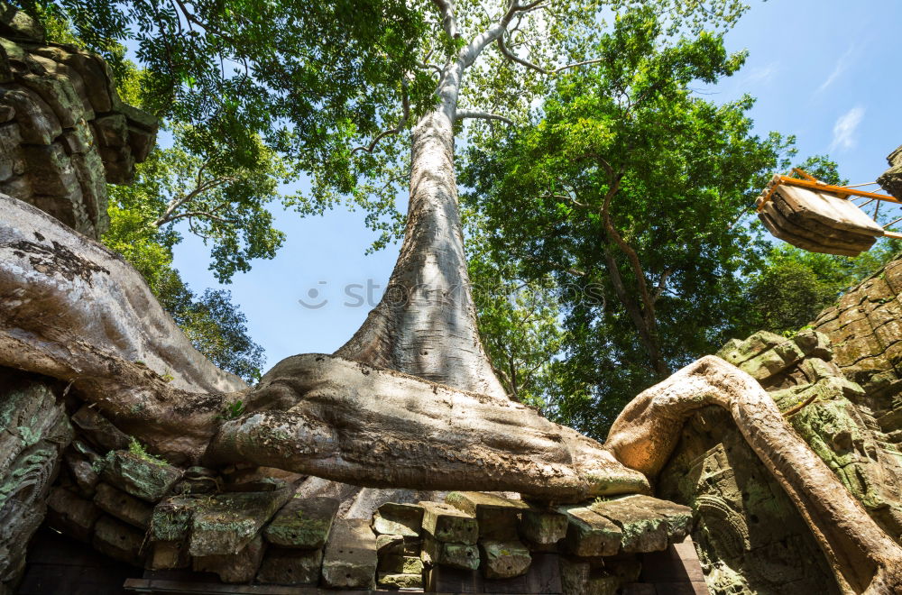 Image, Stock Photo Angkor Thom Temple view, Siem reap, Cambodia