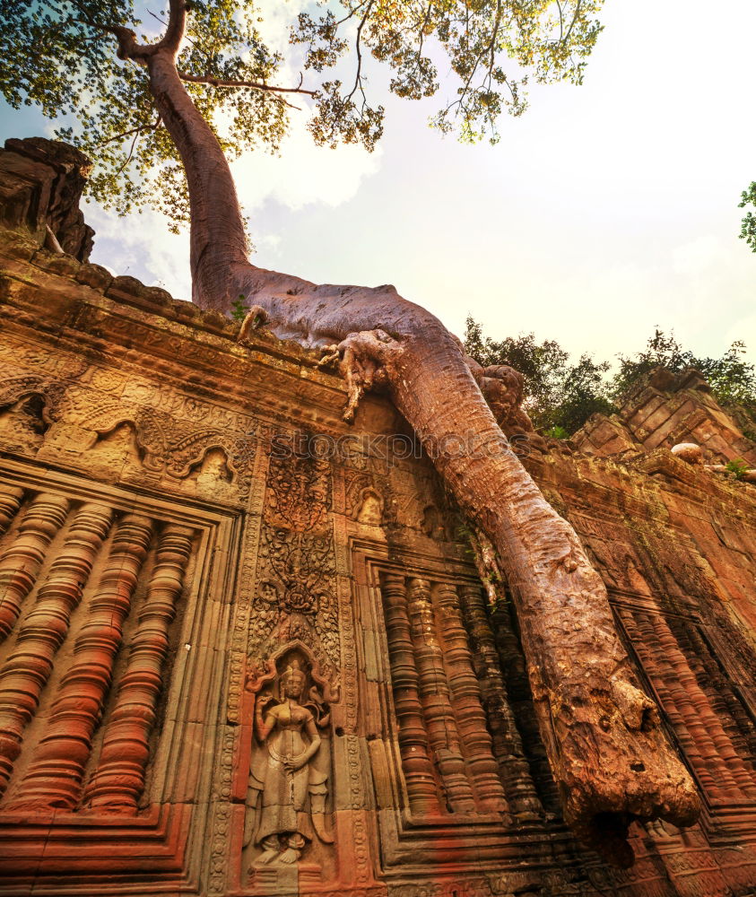 Similar – Tomb Raider Temple, Cambodia