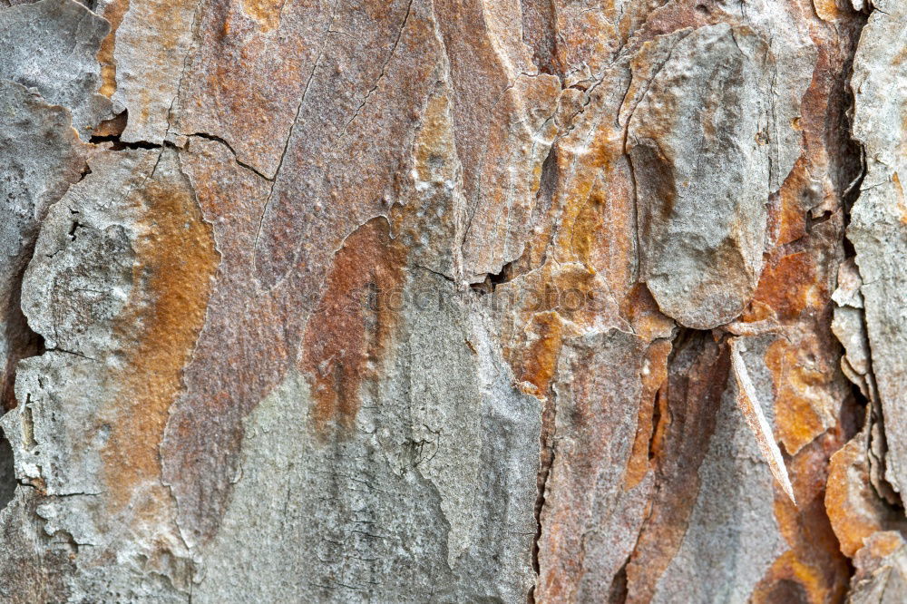 Similar – Image, Stock Photo Sedimentary rocks texture