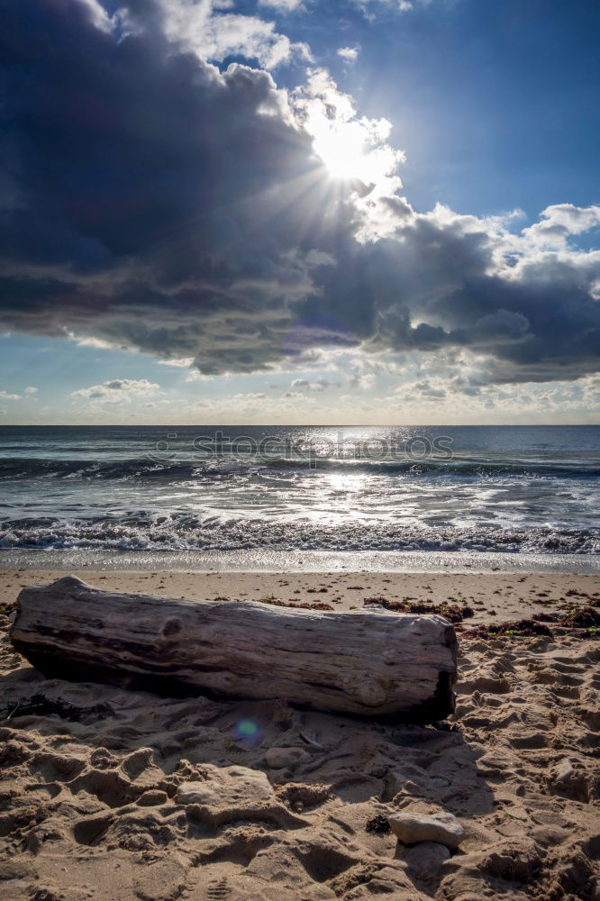 Long shadows Beach Ocean