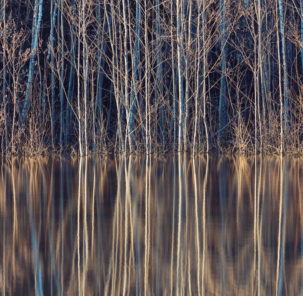 Similar – Image, Stock Photo Silent river in winter sleep