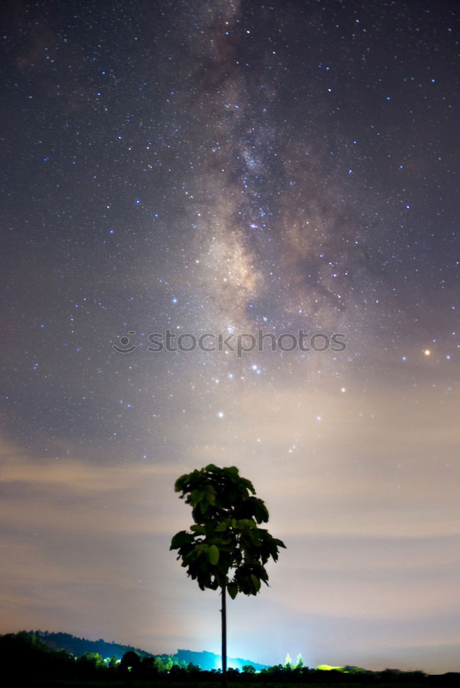 Similar – Image, Stock Photo HAVE TIME Tree Clouds