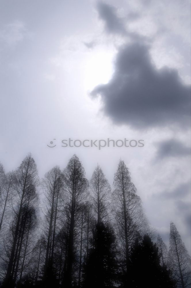 Similar – Image, Stock Photo lunarian Clouds Tree Moody
