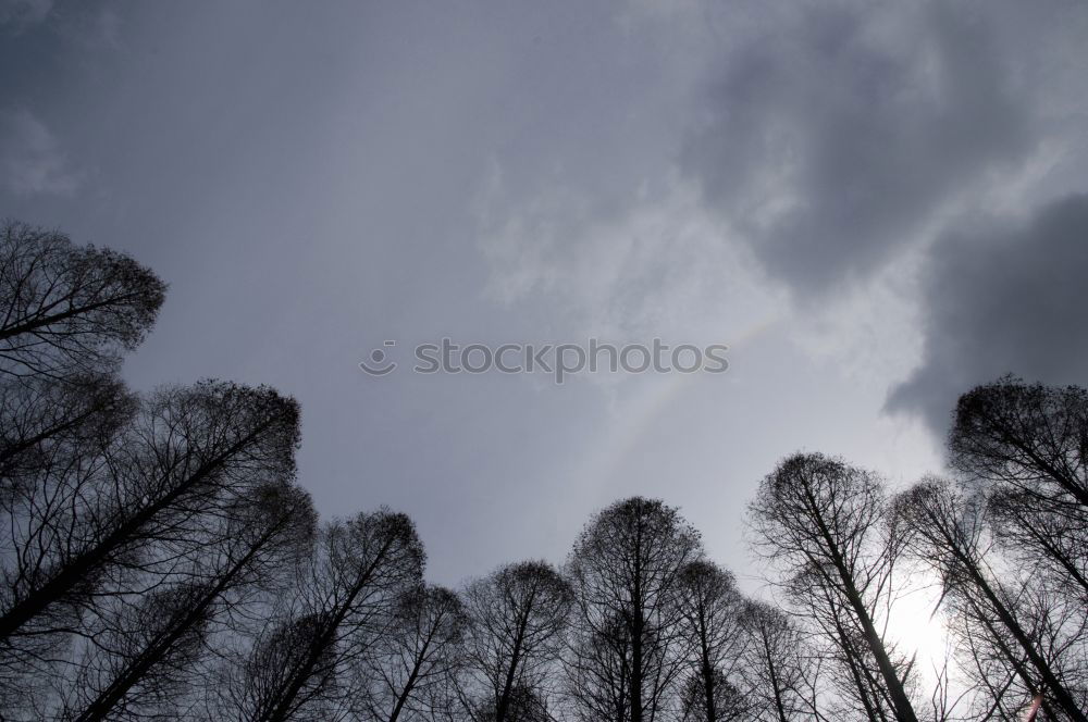 Similar – Image, Stock Photo high up Style Design