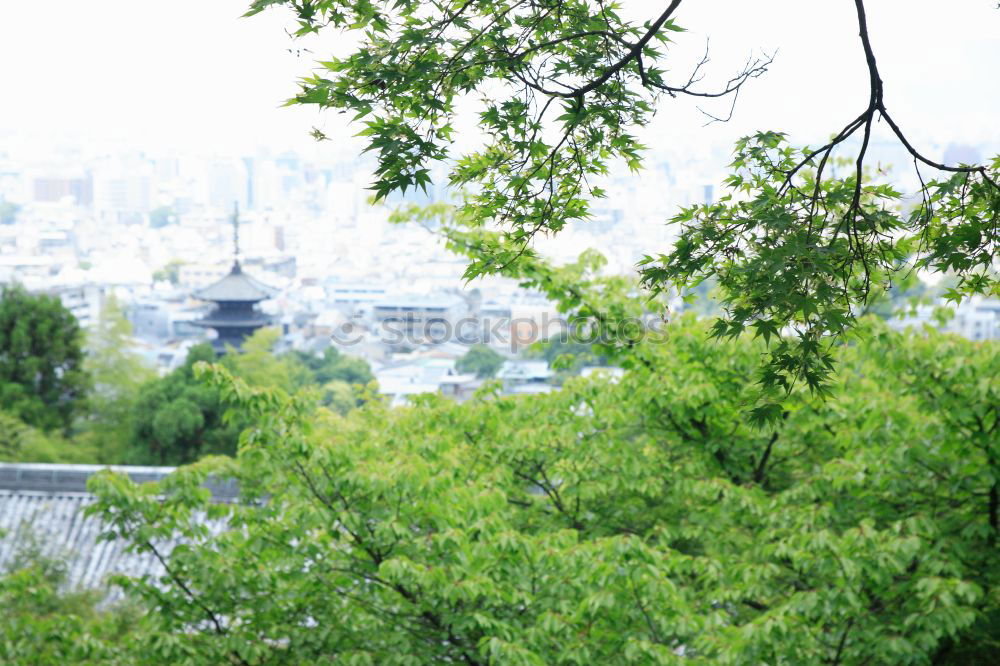 Similar – side street Tree Town