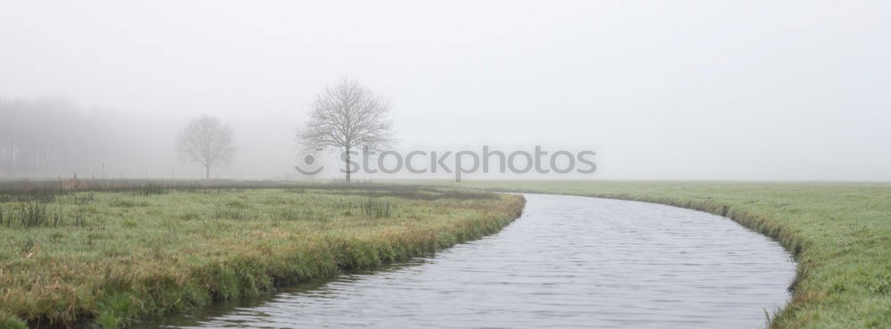 Similar – parted Meadow Field Coast