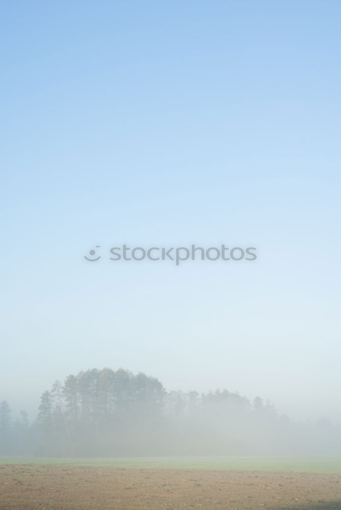 Similar – Foto Bild CHAMANSÜLZ | waldrand