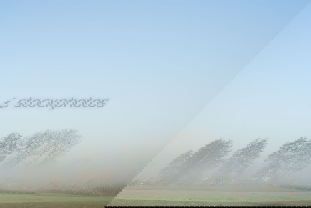 Similar – Image, Stock Photo Cow(l) Environment Nature