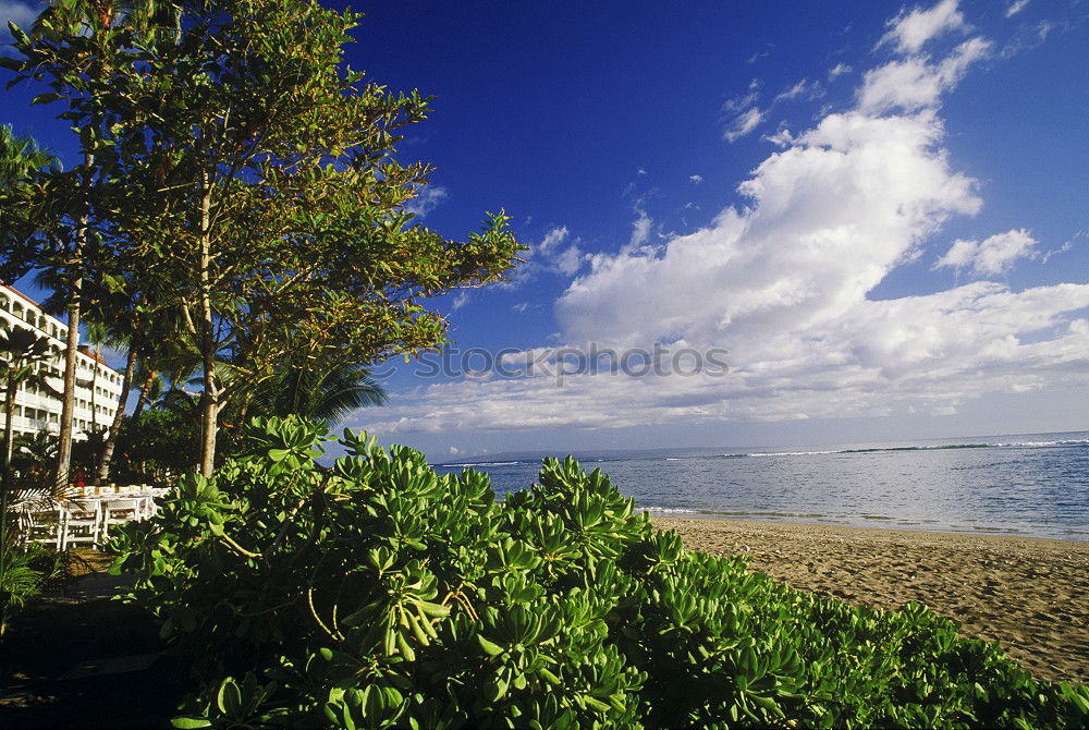 Similar – sea view Panorama (View)