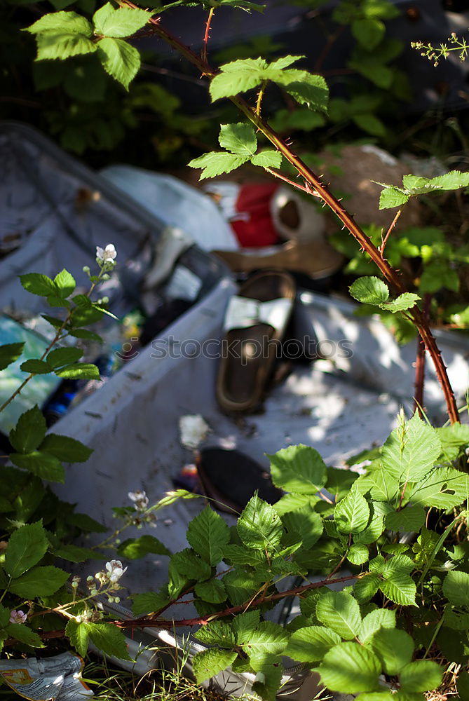 Similar – Image, Stock Photo industrial action Trash