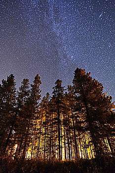 Similar – Image, Stock Photo Tent in winter forest