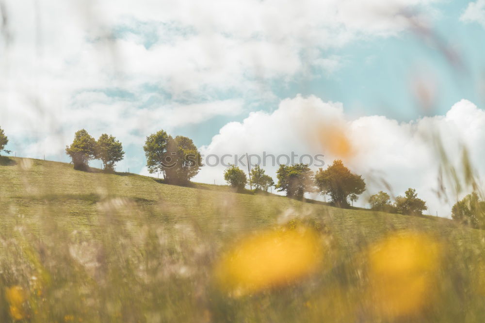 Similar – Thüringen | Gras Tourismus