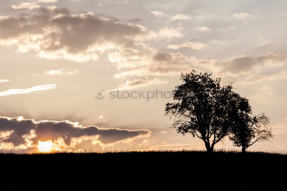 Similar – stand Environment Nature