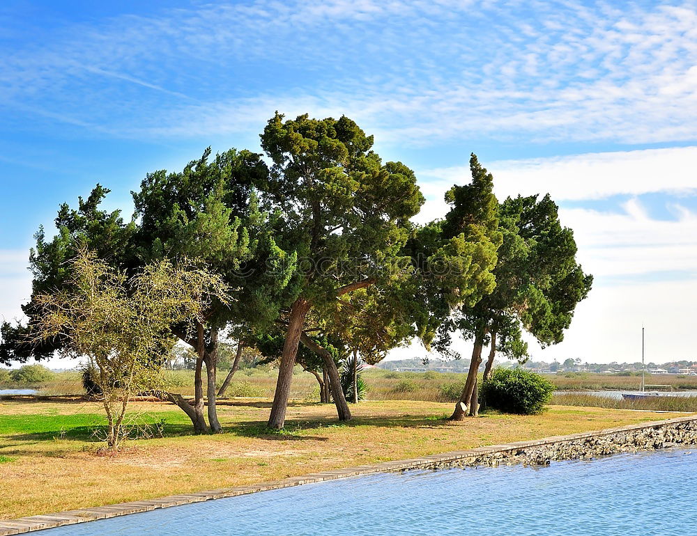 Similar – Image, Stock Photo Basin Agdal Pond Meknes