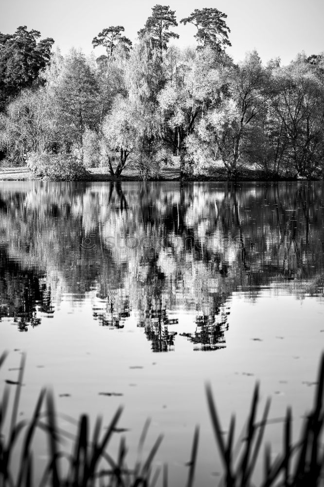 Foto Bild Wasserspiegelung