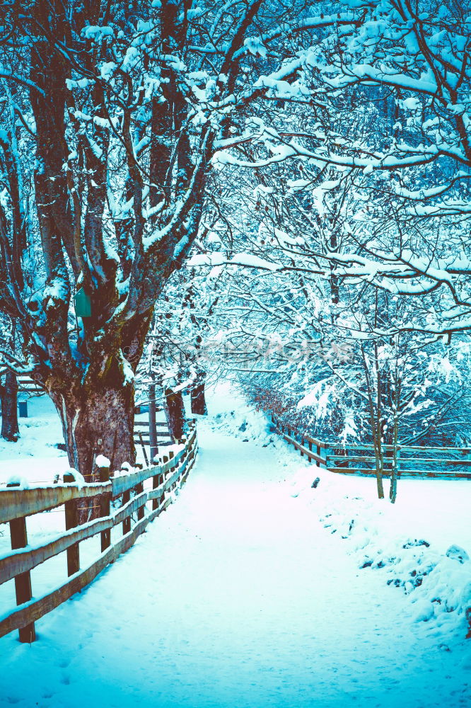 Similar – Foto Bild Eisenbahn im Schnee