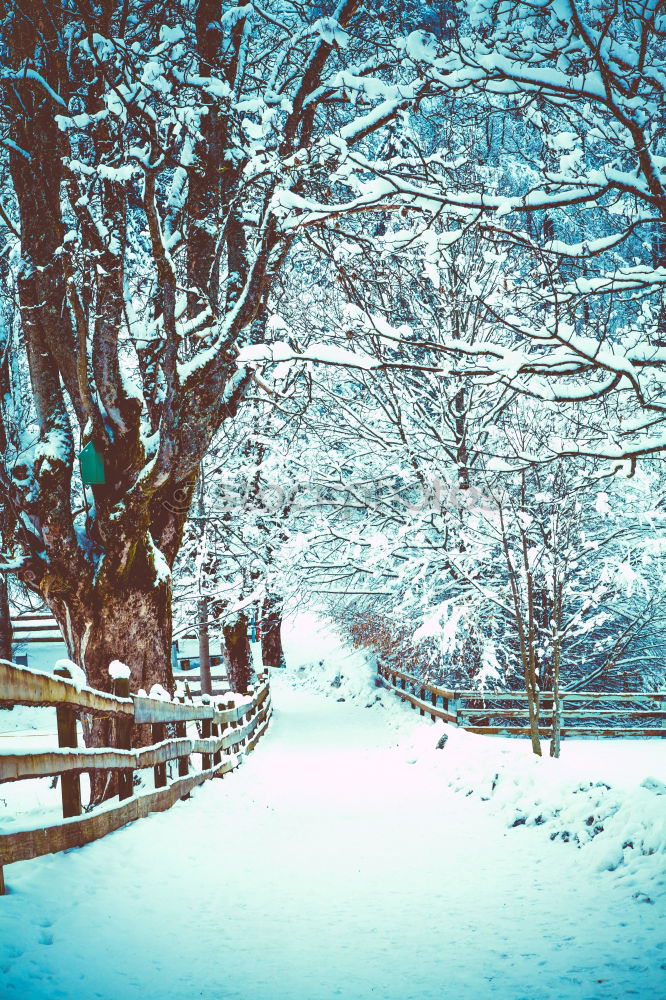 Similar – Foto Bild Eisenbahn im Schnee