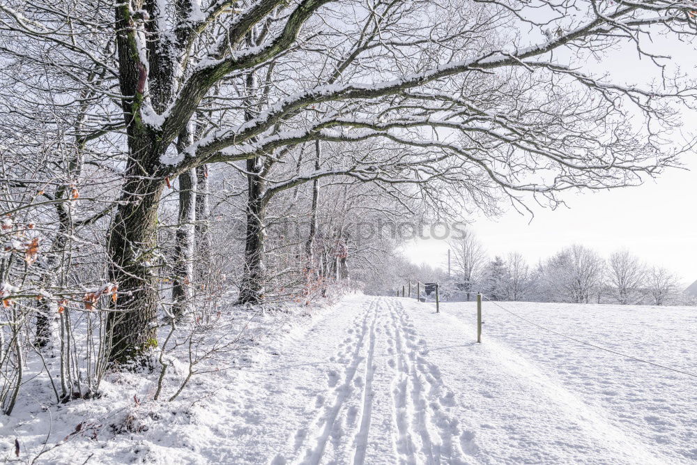 Similar – Fence in a winter scenery