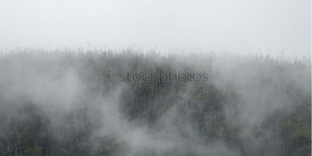 Similar – Frost as far as the eyes can see