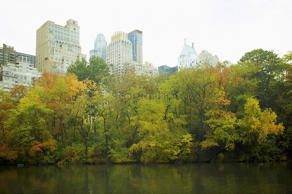 Central Park, New York