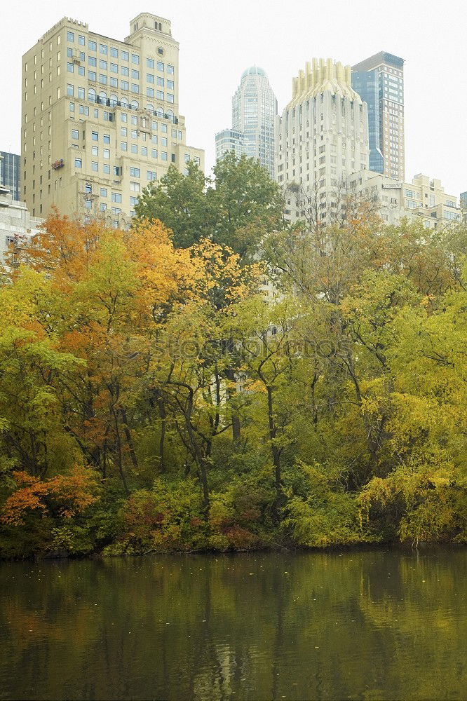 Similar – Central Park, New York