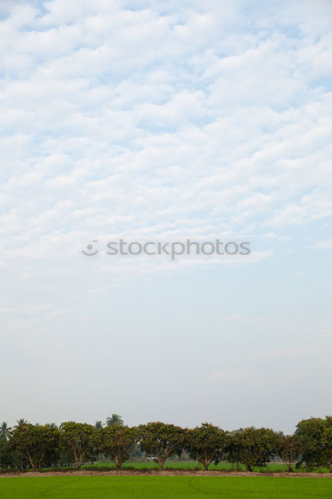 Similar – urban elements Himmel Baum